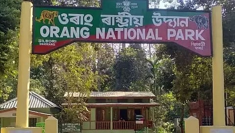 असम: ओरांग नेशनल पार्क और टाइगर रिजर्व में राइफल के साथ चार शिकारी गिरफ्तार