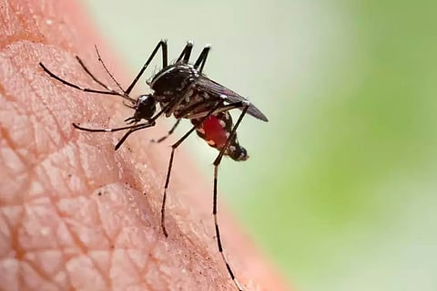 असम: एसटीआई हब कोकराझार ने सिम्बरगाँव में मलेरिया जागरूकता और स्वास्थ्य अभियान चलाया