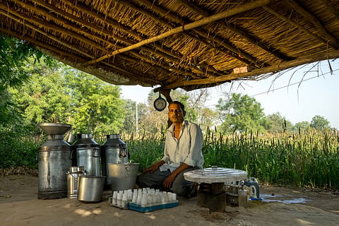 असम: माघ बिहू के दौरान दूध और मांस उत्पादों की कीमतों को नियंत्रित करने के लिए एसओपी जारी