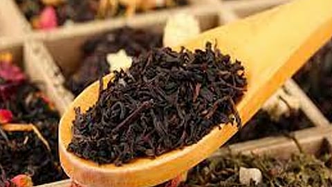 2024 में भारत और असम में चाय उत्पादन में गिरावट आएगी: भारतीय चाय बोर्ड