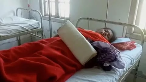 असम: डिब्रूगढ़ जिले में जंबो हमले में सात महिला चाय बागान श्रमिक घायल