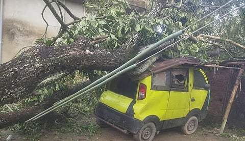 बोकाखाट में भयंकर तूफान ने मचाई तबाही, आसू का सत्र स्थगित