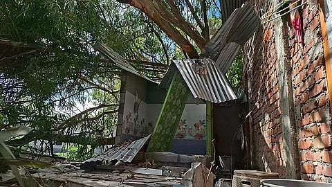 ढेकियाजुली में पेड़ गिरने से महिला गंभीर रूप से घायल