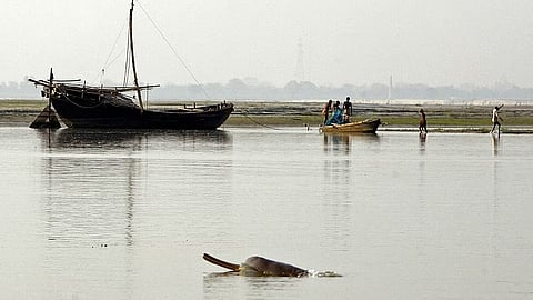 बोकाखाट में डिफालु नदी में 14 वर्षीय छात्र लापता