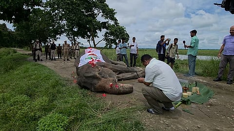 असम: काजीरंगा राष्ट्रीय उद्यान की सबसे बुजुर्ग और अंतिम मातृसत्तात्मक महिला ‘मोहनमाला’ का निधन