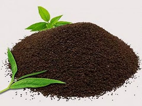 इस वर्ष भारतीय चाय निर्यात में कीमतों में वृद्धि दर्ज की गई