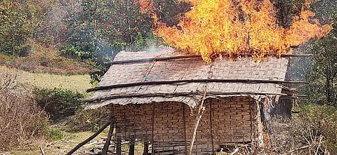 मणिपुर में आठ एकड़ पोस्ता की फसल नष्ट, पांच उग्रवादी गिरफ्तार 