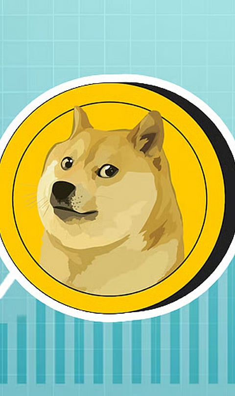 Is This the Right Time to Invest in Dogecoin?