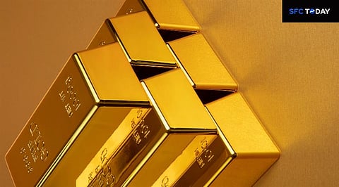 Zero Debt, High Profit The New Gold Standard for Stock Selectio.jpg