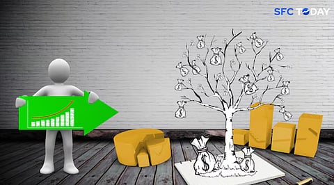 The Fourth Pillar of Wealth: Why Bonds Deserve a Spot in Your Portfolio 
