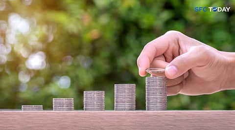 Top Performing Small Cap Mutual Funds in India