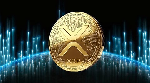 XRP Price Draws $120 Million Whale Investment
