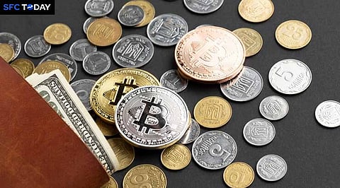 Secure Your Crypto: Top Wallets for Bitcoin and Altcoins