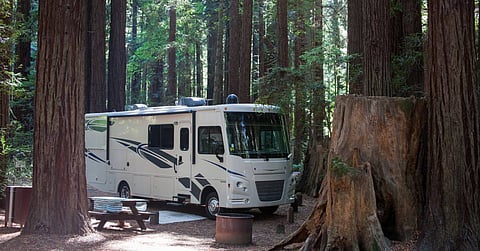 A large white RV parked in a forest and surrounded by tall trees. There is a picnic table next to the RV.