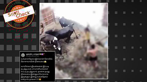 வங்கதேச இஸ்கான் கோவிலில் தாக்கப்படும் பசுக்கள்