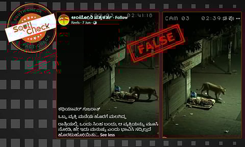 Fact Check: ಗುಜರಾತ್​ನಲ್ಲಿ ಮನೆಯ ಹೊರಗೆ ಮಲಗಿದ್ದ ವ್ಯಕ್ತಿಯನ್ನು ಸಿಂಹ ಮೂಸಿ ಹೋದ ವೀಡಿಯೊದ ಸತ್ಯಾಂಶ ಏನು?