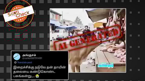 இறைச்சிக் கடையில் தொங்கும் தனது தாயைக் கண்டு அழுகும் கன்றுக்குட்டி