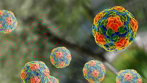 3 in 4 youths in Telugu states exposed to Hepatitis A; rising risk for unexposed adults: ICMR