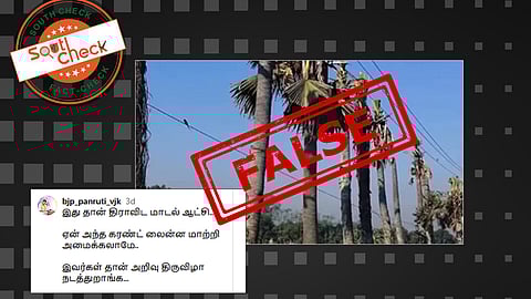 Fact Check: தமிழ்நாட்டில் மின் கம்பிகள் உரசாமல் இருக்க பனை மரக் கிளைகள் வெட்டப்பட்டதா? உண்மை என்ன