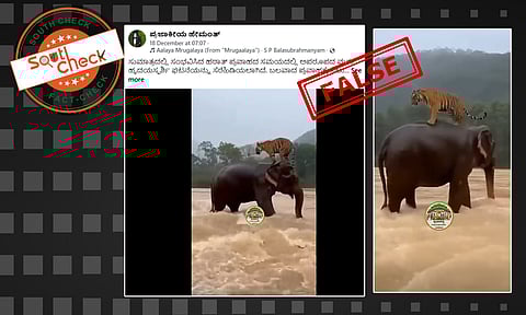 Fact Check: ಇಂಡೋನೇಷ್ಯಾದ ಸುಮಾತ್ರಾ ಪ್ರವಾಹದ ಮಧ್ಯೆ ಆನೆ ಹುಲಿಯನ್ನು ರಕ್ಷಿಸಿದ್ದು ನಿಜವೇ? ಸುಳ್ಳು, ಸತ್ಯ ಇಲ್ಲಿದೆ