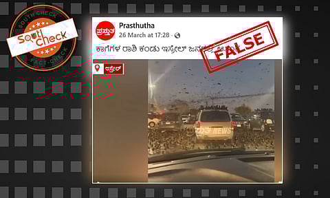 Fact Check: ಇಸ್ರೇಲ್​ನಲ್ಲಿ ಕಾಗೆಗಳ ರಾಶಿ ಎಂದು ವೈರಲ್ ಆಗುತ್ತಿರುವ ವೀಡಿಯೊ ಹಳೇಯದು