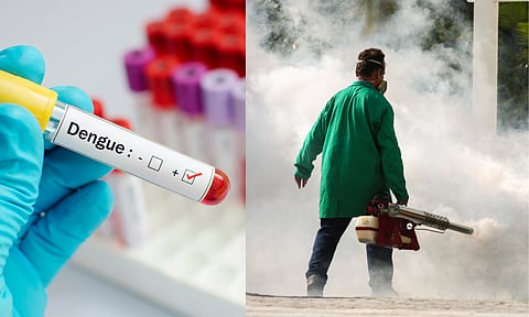 Hyderabad sees fresh rise in dengue cases as doctors flag growing risk in apartments