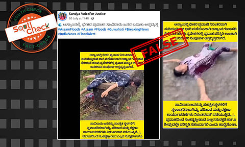 Fact Check: ಇದು ಅಸ್ಸಾಂ ಪ್ರವಾಹದ ನಂತರ ಮೃತದೇಹಗಳ ದೃಶ್ಯವೇ? ಸುಳ್ಳು, ಸತ್ಯ ಇಲ್ಲಿದೆ