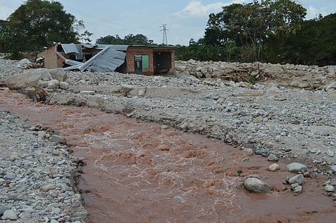 South Check representative Image