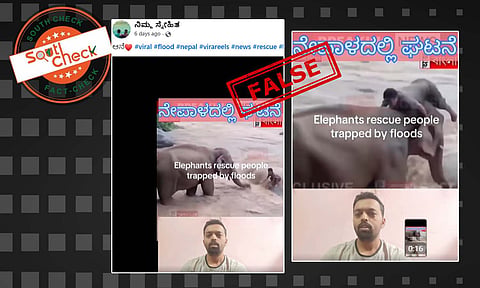 Fact Check: ನೇಪಾಳದ ಪ್ರವಾಹದಲ್ಲಿ ಸಿಲುಕಿದ್ದ ವ್ಯಕ್ತಿಯನ್ನು ಆನೆಯೊಂದು ರಕ್ಷಿಸಿತೇ? ಸುಳ್ಳು, ಸತ್ಯ ಇಲ್ಲಿದೆ