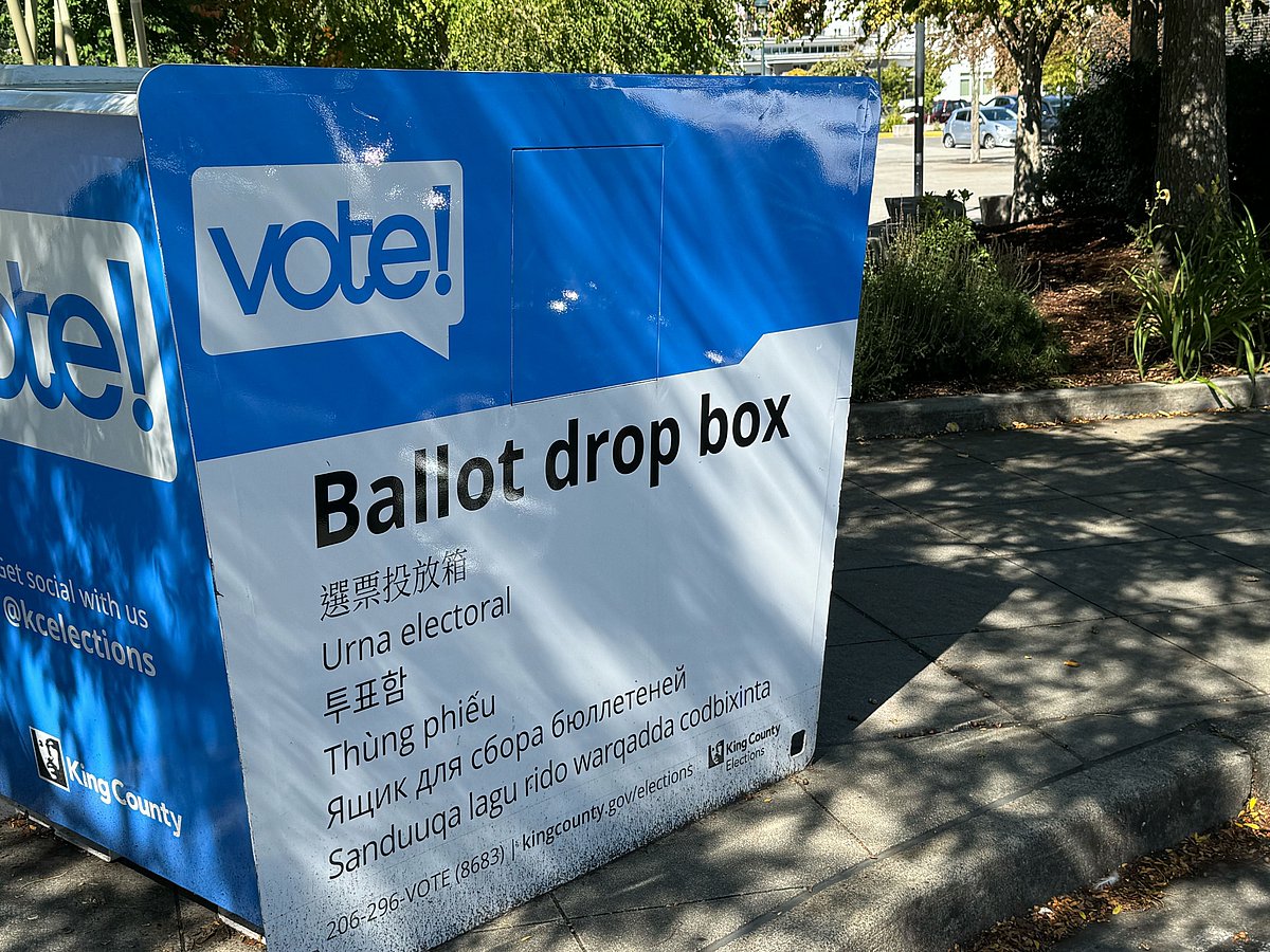 South End General Election Roundup 2024 Candidates and Initiatives