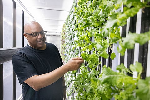 A Black-presenting man wearing glasses and a black shirt inspects leafy greens growing vertically inside a well-lit indoor farming container.