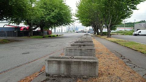 Concrete eco-block barriers lining a Georgetown street beneath mature trees in Seattle.