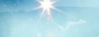 An illustration of a blue winter nature background with sunlight flares over the forest in winter weather.