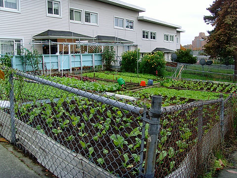 Yesler Terrace Demolition a Sad End To City's Legacy of Public Housing