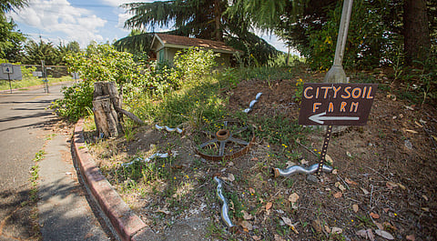 A sign the Renton water treatment facility indicates the way to CitySoil Farm in Renton, Washington, on June 28, 2019. (Photo: Carolyn Bick)