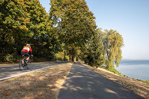 Photo depicting a sidewalk and road along Lake Washington. A bicyclist rides on the vehicle road beside the sidewalk pathway.