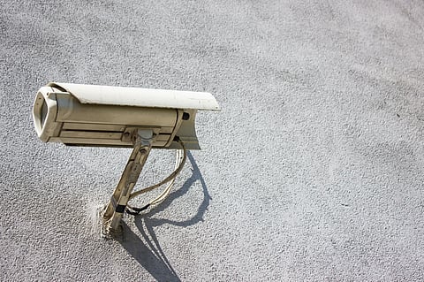 Weekend Reads | Crime During the Pandemic