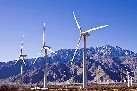 Weekend Reads | Reducing Bird Deaths on Wind Farms