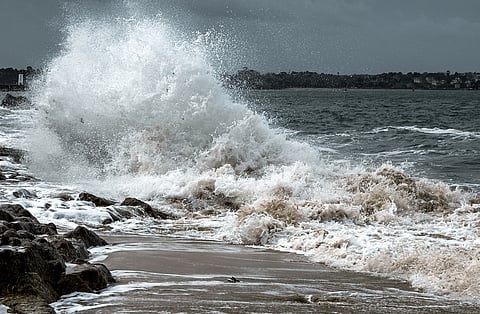 “With the support of organizations like the Army Corps and our dedicated town departments, Marshfield is setting the standard for coastal resilience in Massachusetts,” said Town Administrator Michael Maresco. 