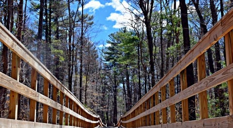 A wooden pathway goes through the woods in Norwell, MA. 