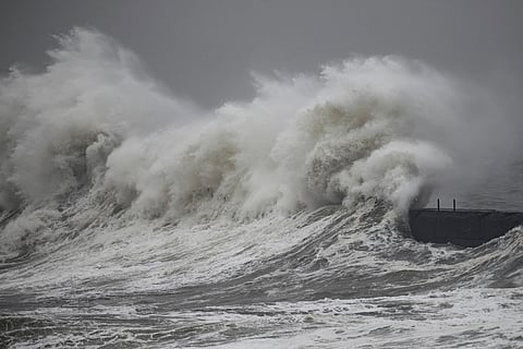 Local Group Seeks to Turn Coastal Hazards Into Economic Asset