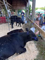 East Middleborough 4-H Fair