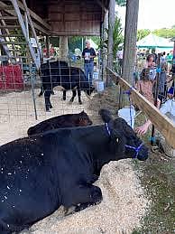 74th East Middleboro 4-H Fair