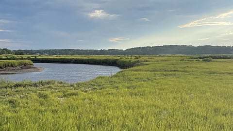 A river winding through a salt marsh on a cloudy day. 