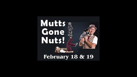Mutts Gone Nuts! at The Company Theatre