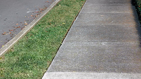 cement sidewalk with grass
