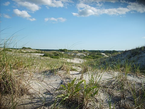 sandy beach dunes