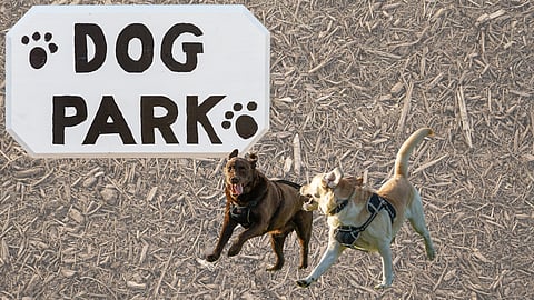 mulch with running dogs and dog park sign