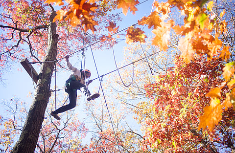 Kid on a ropes course. 