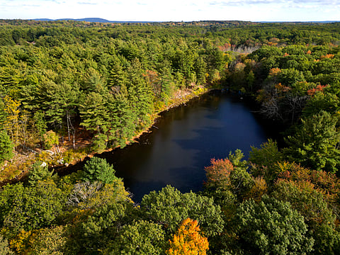 forest with trees of various colors in the fall- it's an aerial shot and there is a pond in the middle of the trees